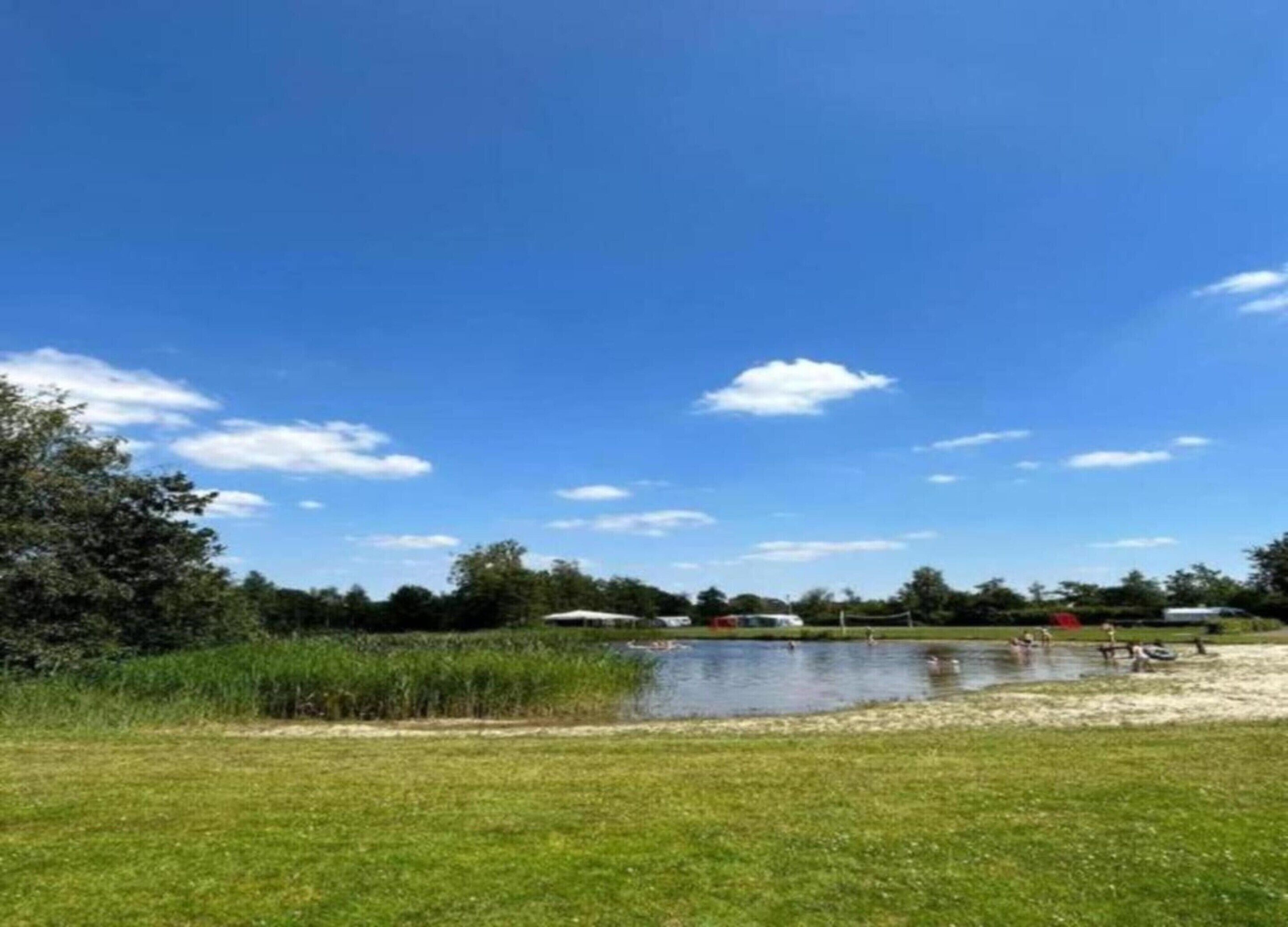 Ein grasbewachsenes Feld mit Teich, Bäumen und blauem Himmel.