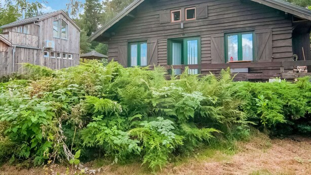 Une cabane en bois rustique, dotée de deux fenêtres et d’un porche, entourée d’une végétation luxuriante.