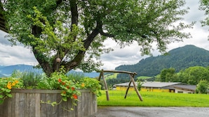 Oklassificerad bild, 3 av 39, knapp