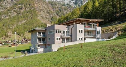 Cosy Flat in Zweiselstein With Garden