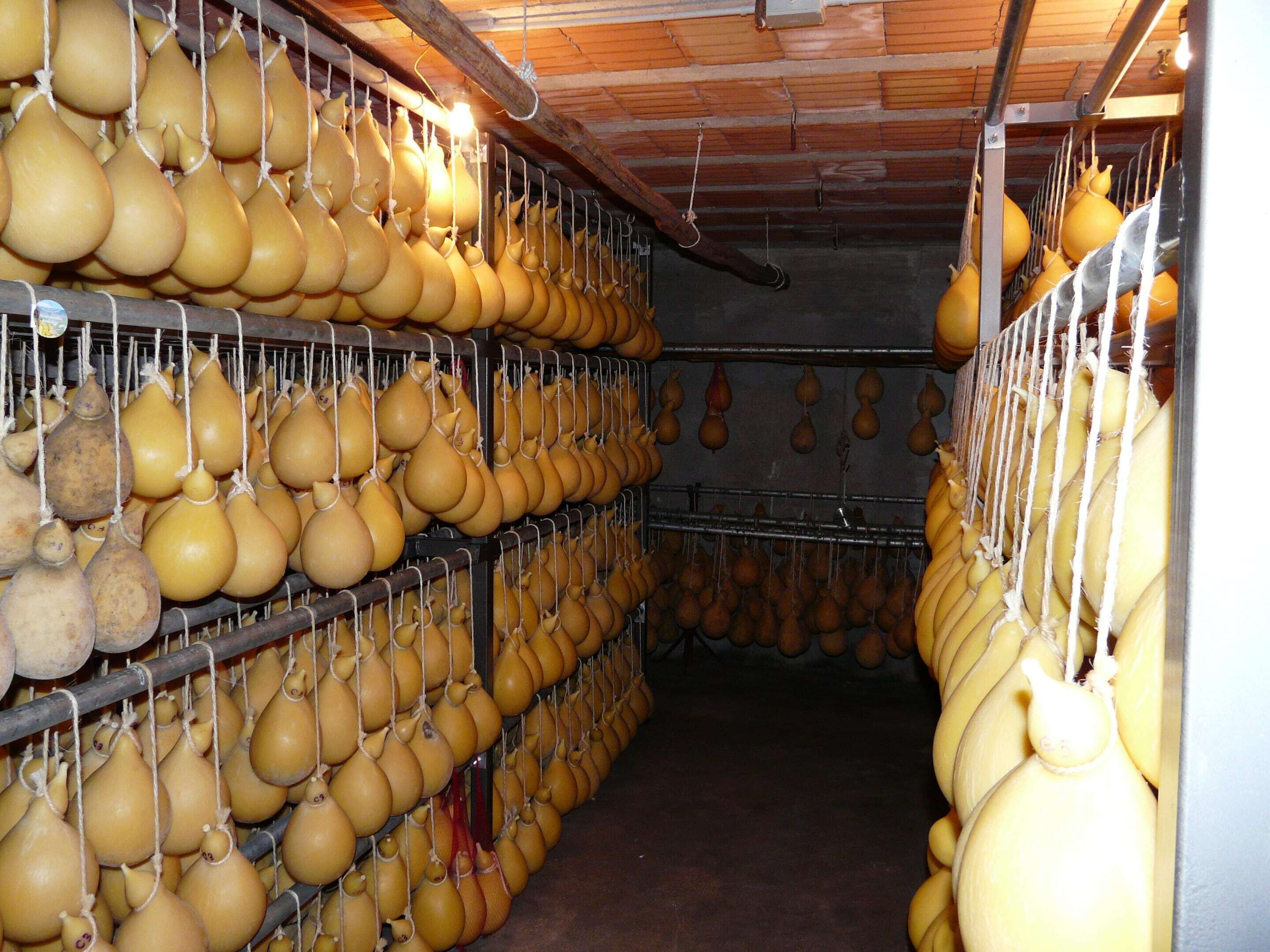 Un área de almacenamiento con hileras de calabazas colgantes.