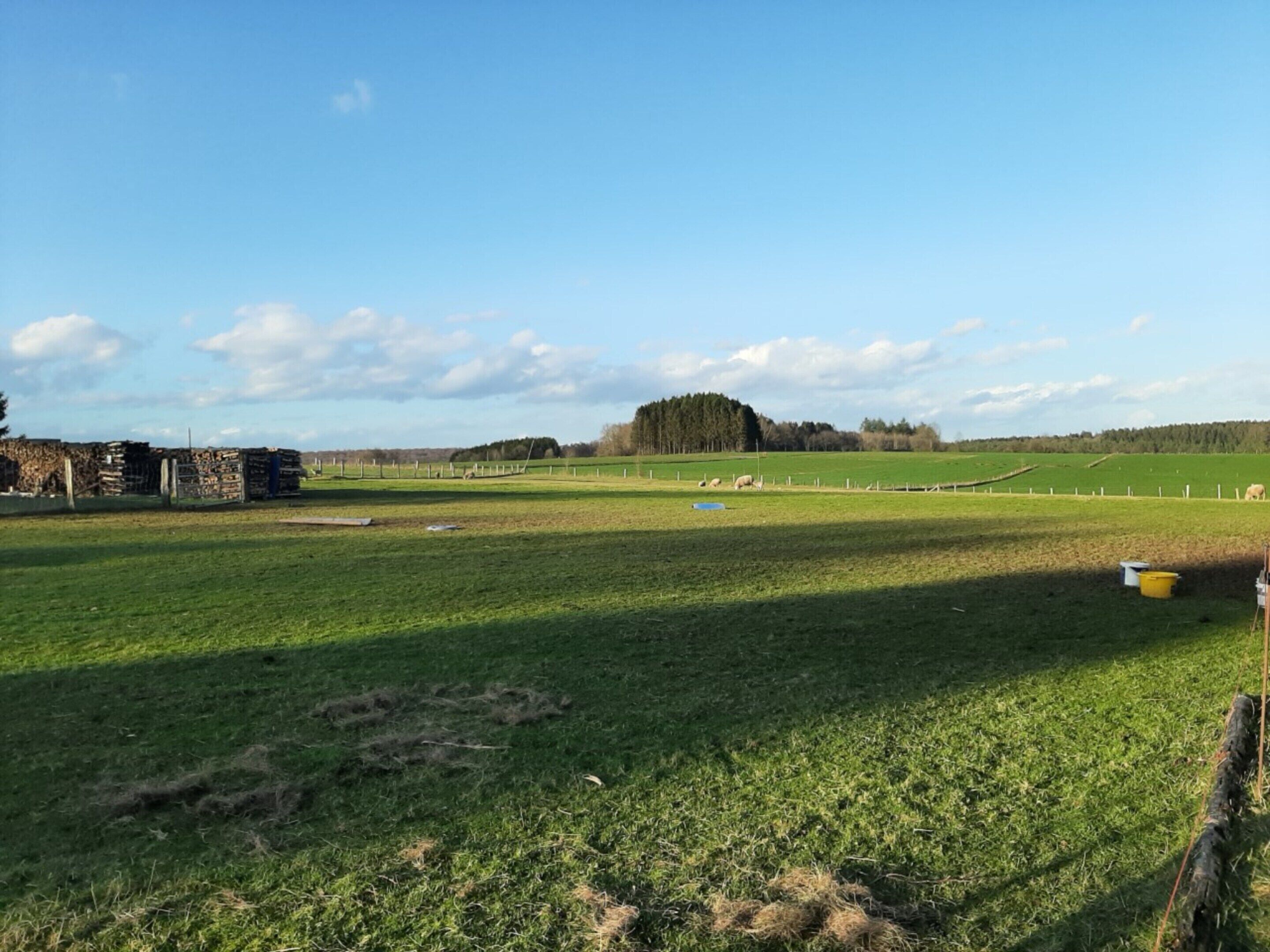 Ett lantligt landskap med en inhägnad åker, en hög med höbalar och en avlägsen skog.