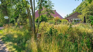 House | View from property