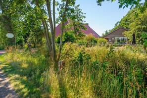 House | View from property