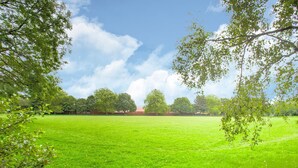 Billede uden beskrivelse, 2 af 31, knap