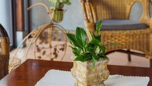 2 間睡房、床單