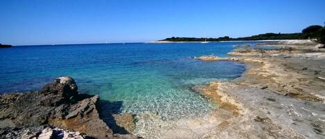 Apartment | View from property