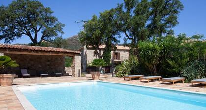 Serene Holiday Home in Felicito With Private Swimming Pool