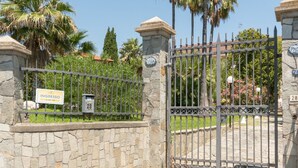 Reception - Splendid Apartment in Loano With Swimming Pool (Loano)