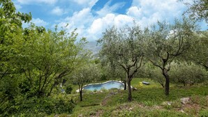 Un paysage naturel avec une piscine entourée d’arbres et de verdure.