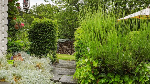 A stone pathway leading through a lush garden with various plants and a rustic fence. - Lovely Cottage in Vierves-sur-viroin With Garden and Terrace (Viroinval)