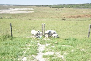 Hus | Utsikt fra overnattingsstedet