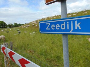 Ferienhaus | Blick von der Unterkunft