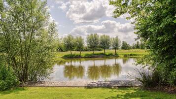 House | View from property