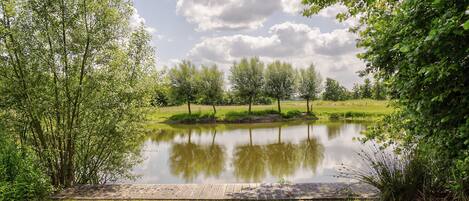 Maison | Vue depuis l’hébergement