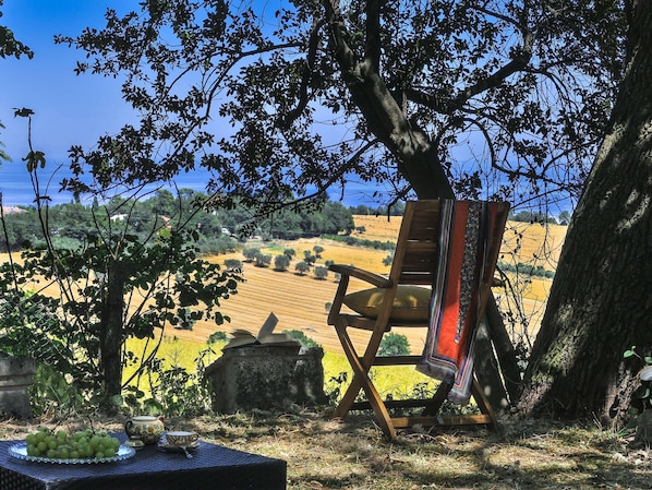 独立别墅 | 外观