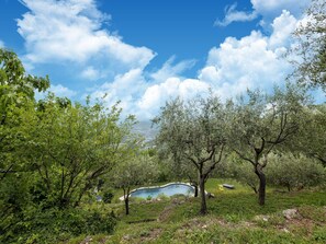 House | View from property - Nature Home With Pool & Garden (Acqualagna)