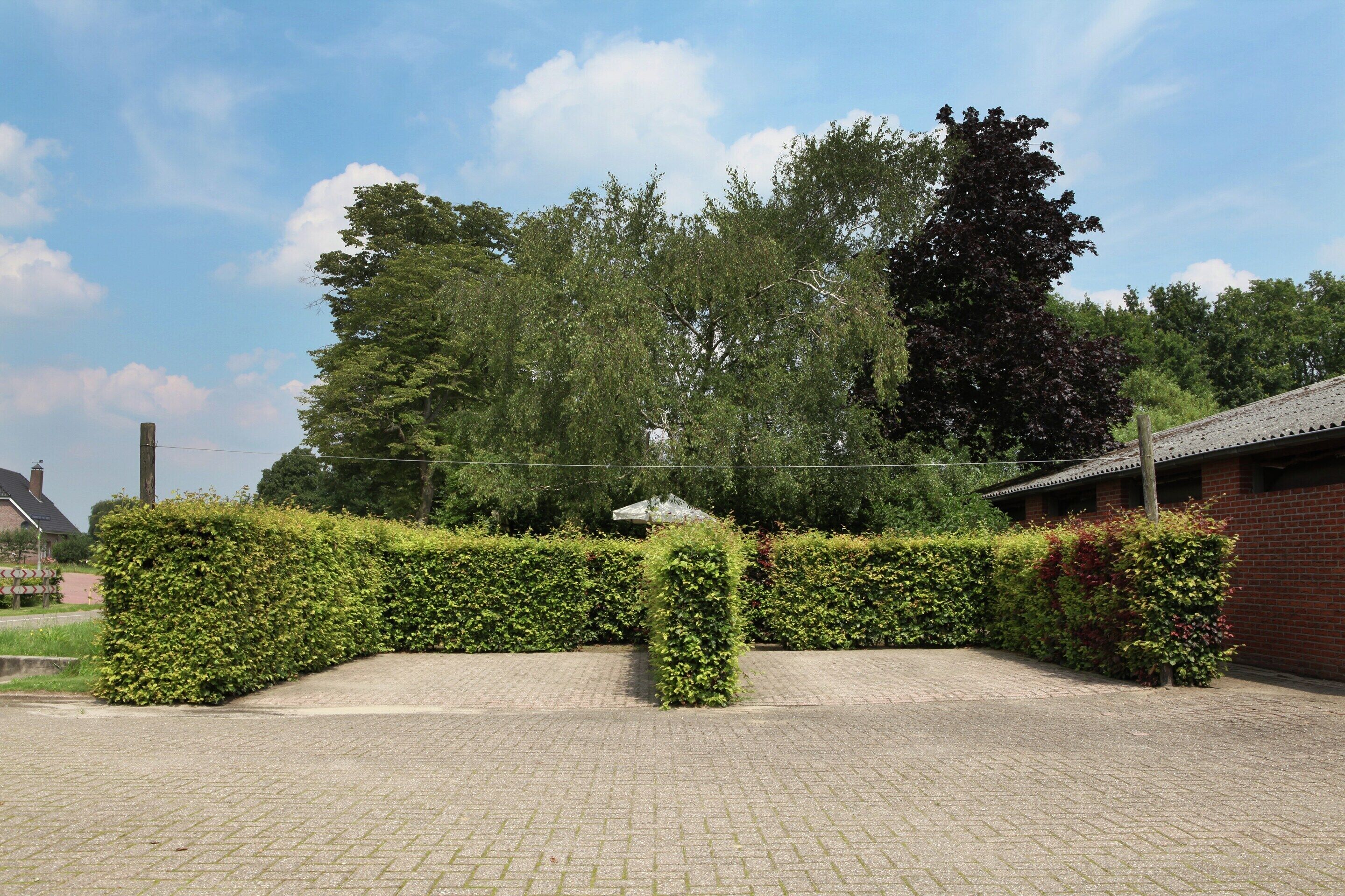 House | Property grounds