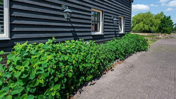 Unclassified image, 1 of 40, button - Enticing Holiday Home in Nieuwleusen With Garden (Nieuwleusen)