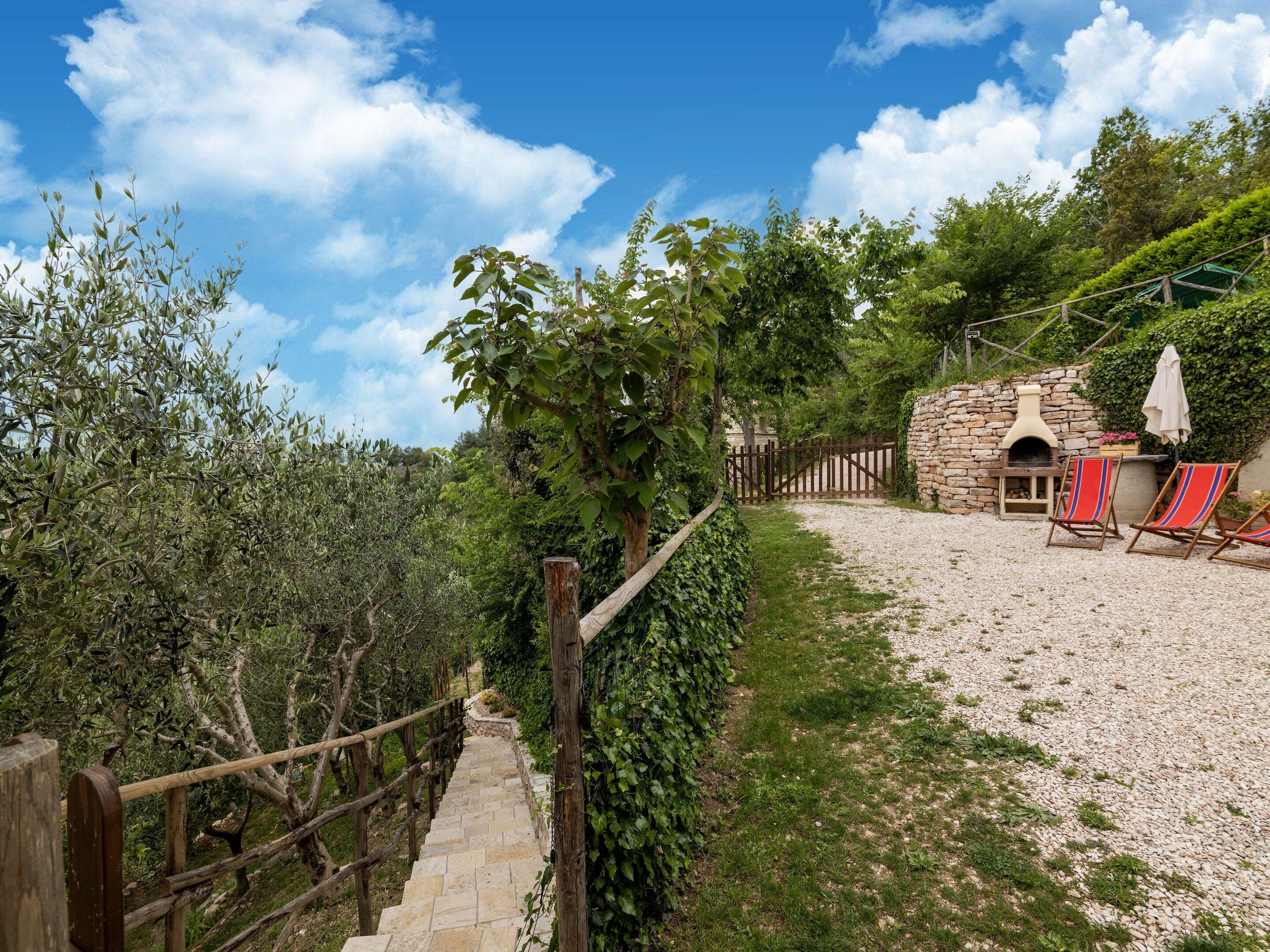A stone pathway leading to a rustic outdoor seating area with a stone oven, surrounded by olive trees and greenery.