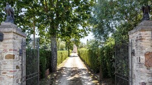 A gravel path flanked by stone walls and metal gates, leading to a building with a statue in the distance. - Tuscan Countryside Stay (Casole d'Elsa)