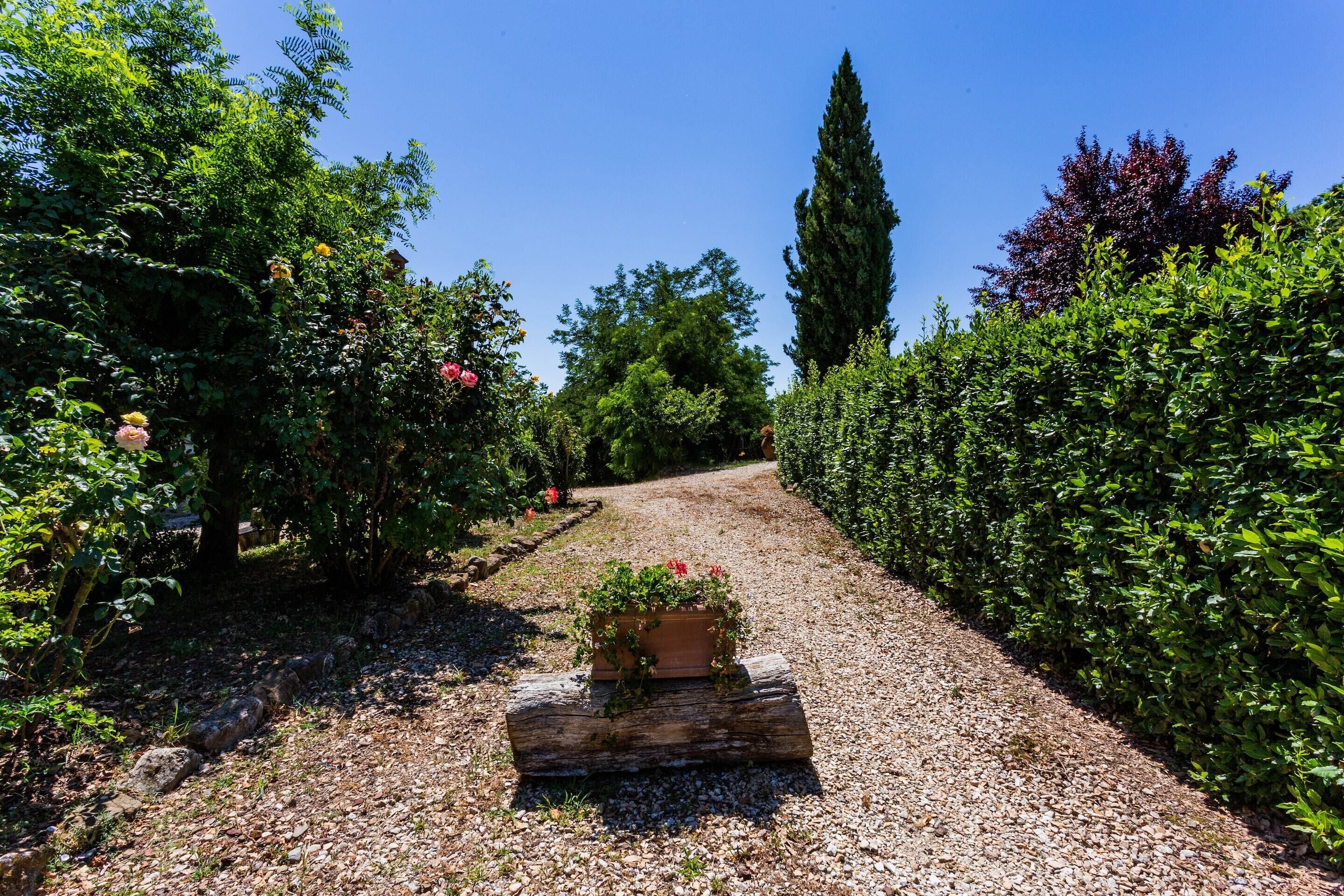 A gravel path flanked by lush greenery and a wooden planter with flowers.