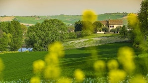 Unclassified image, 3 of 31, button - Holiday Home With Swimming Pool, San Costanzo (San Costanzo)