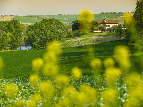 House | Interior detail