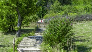 Una escalera de piedra rodeada de abundante follaje y plantas florecientes.