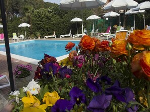 Pool - Appealing Apartment in Loano With Swimming Pool (Loano)