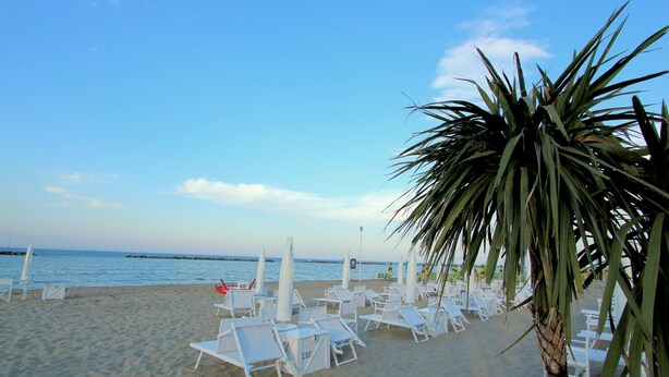A beach with white lounge chairs and umbrellas, a palm tree, and the ocean in the background. - Eco-retreat With Pool (Acqualagna)