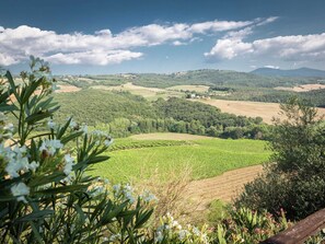 Villa | Vue depuis l’hébergement