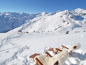 Exterior - Luxurious Apartment in Zell am Ziller With Garden (Gerlosberg)