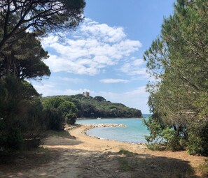House | View from property - Seaside Apartment With Views, Punta Ala (Castiglione della Pescaia)