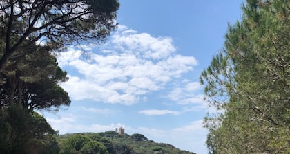 Holiday Home in Punta Ala With Beach