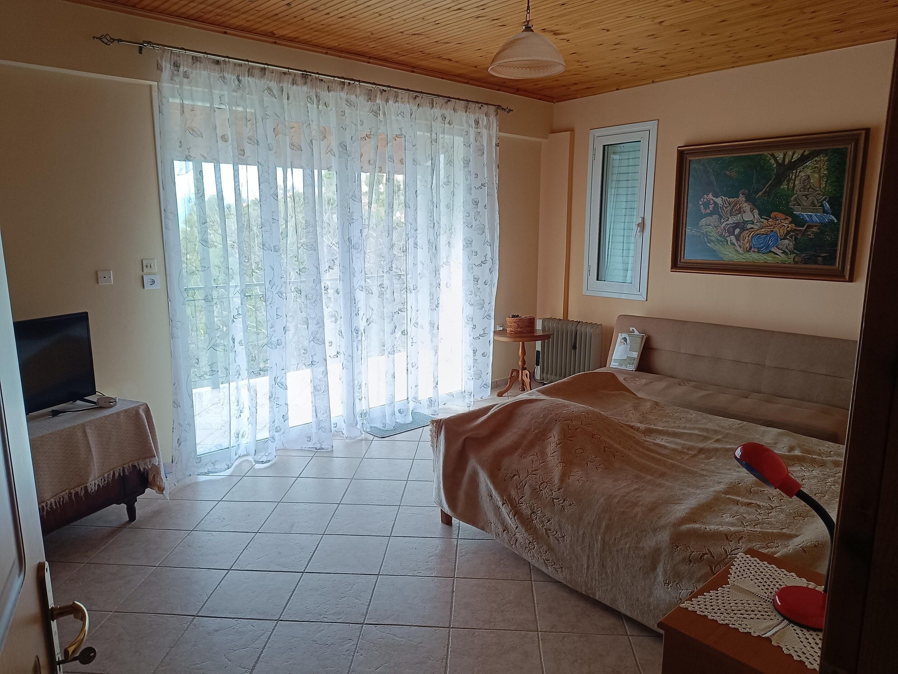 Une chambre à coucher avec un lit, un téléviseur posé sur une table de chevet, un radiateur et un tableau accroché au mur.