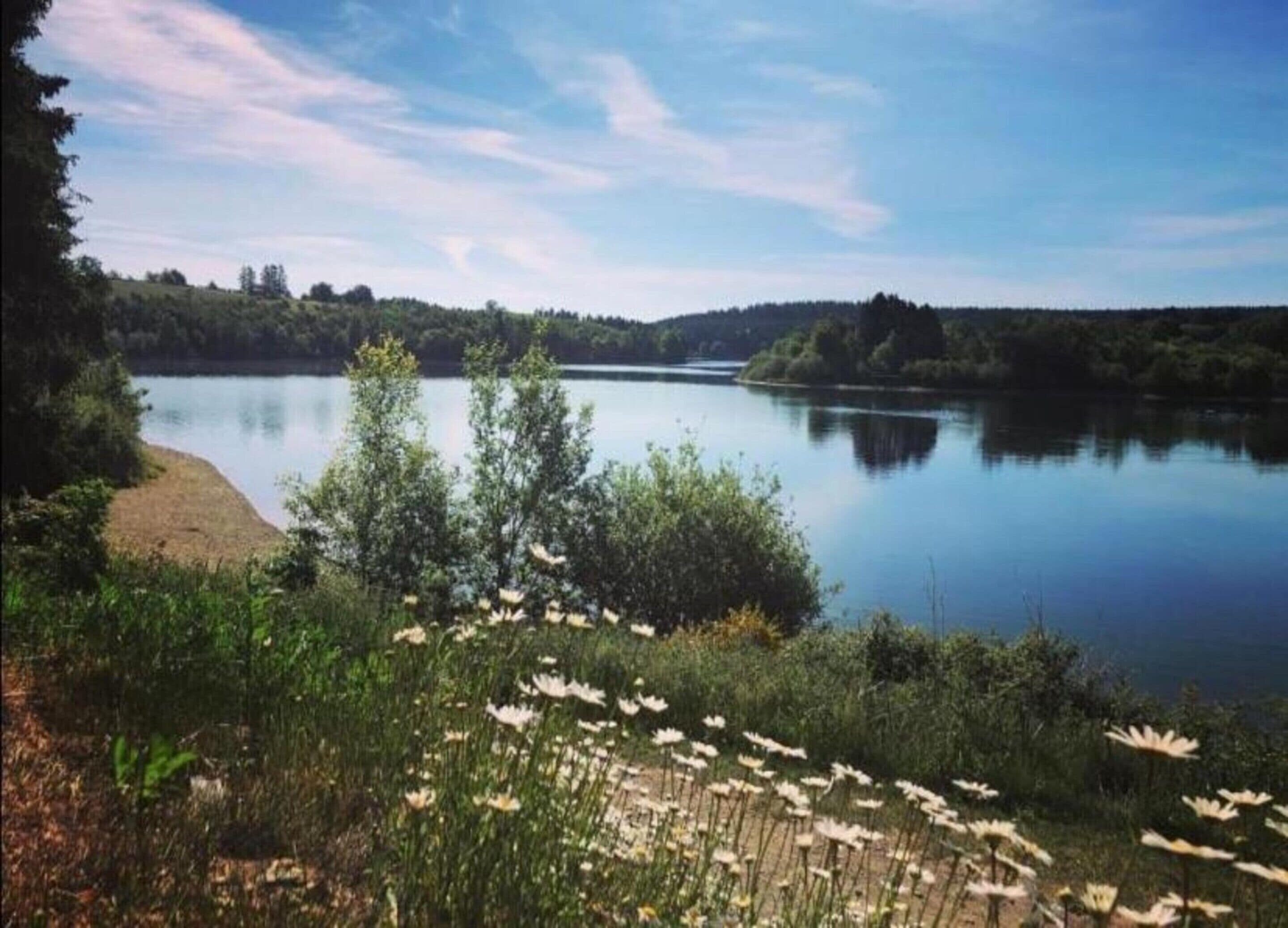 A calm lake surrounded by greenery and trees.
