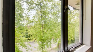 A window with a view of a tree-lined street and a building in the background.