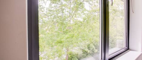 Una ventana con vistas a árboles y un edificio al fondo.