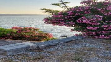 Apartment | View from property