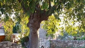 Ferienhaus | Ausstattung der Unterkunft