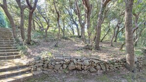 A stone wall and steps leading into a wooded area. - Beachside Holiday Home in Punta Ala (Castiglione della Pescaia)