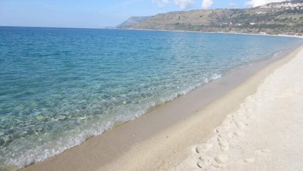 Una playa con agua cristalina y una orilla arenosa.
