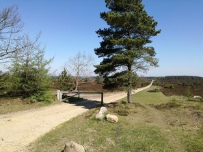A dirt path leading to a wooden gate in a natural setting with trees and open fields. - 5 Person Holiday Home in Hovborg (Hovborg)