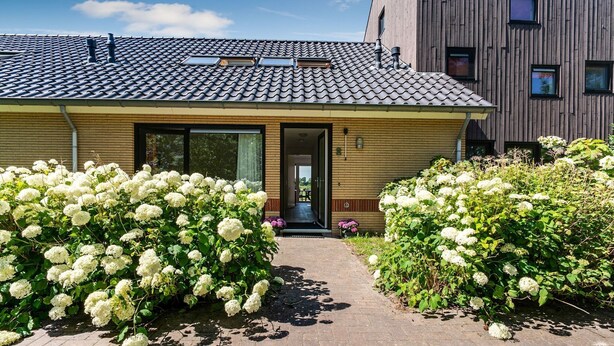 Udendørsområde