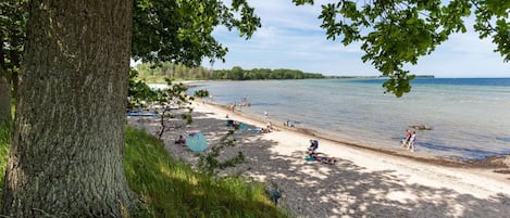 House | View from property