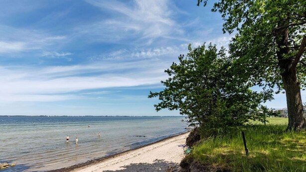 A beach with a sandy shore, calm water, and a tree on the right. - Holiday Home Near the Baltic Sea Beach (Zierow)