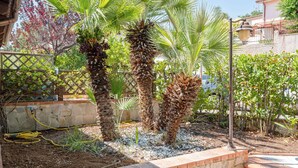Un jardín con palmeras, un muro de piedra y una zona pavimentada con escalones.