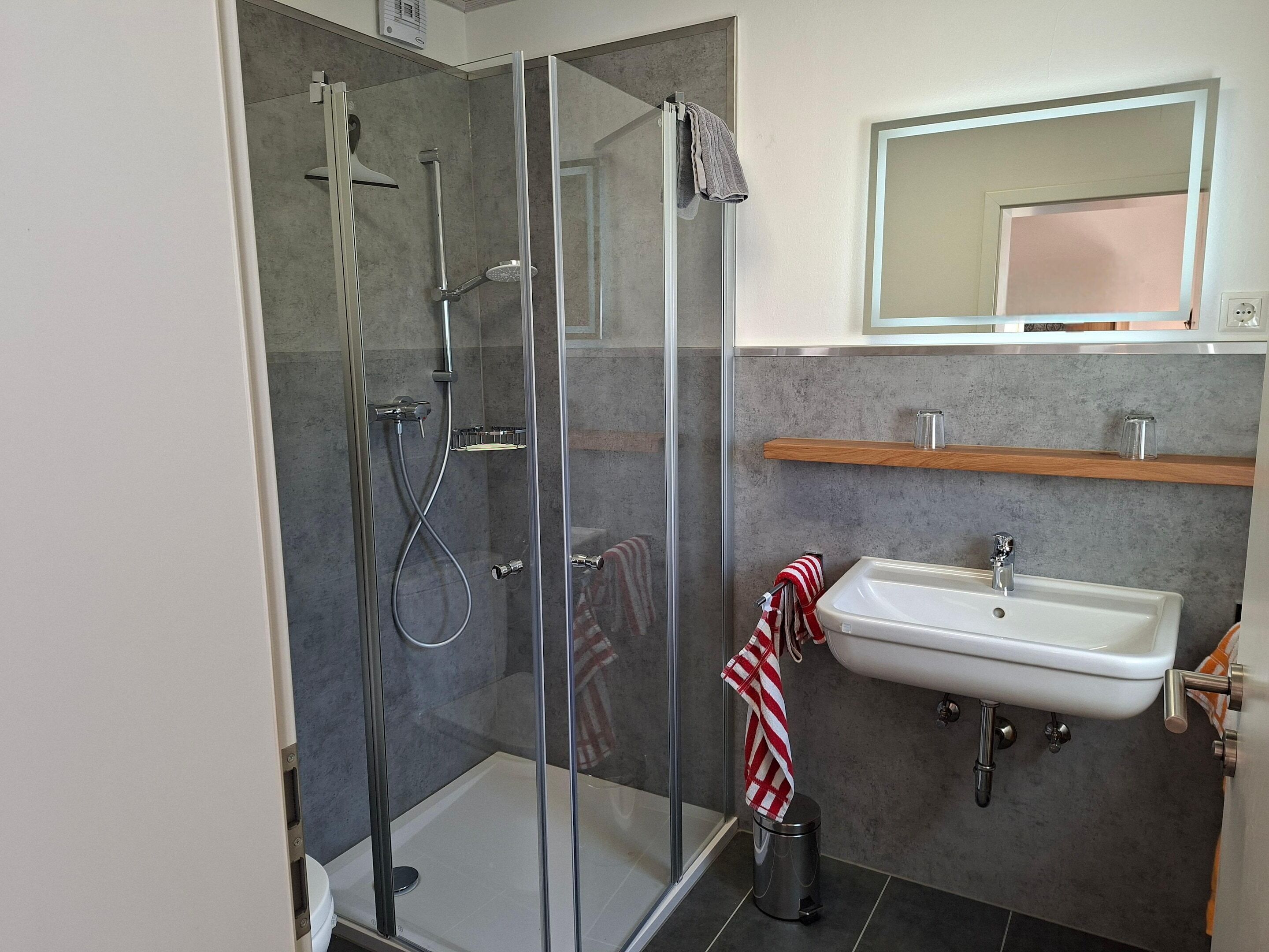 A modern bathroom with a glass-enclosed shower, a white sink, and a mirror above the sink.