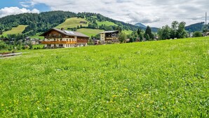 Unclassified image, 2 of 40, button - Renovated Apartment in Niederau With Terrace (Wildschönau)